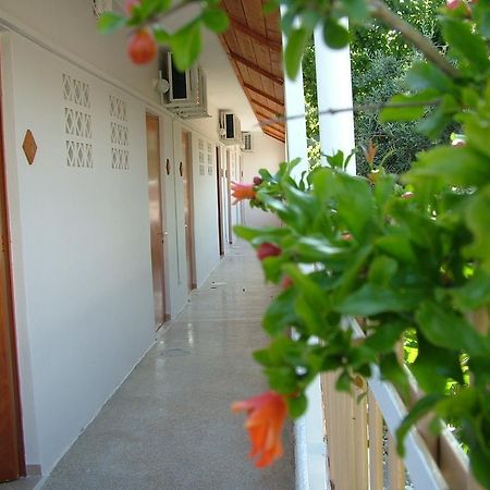 George'S Apartment Agia Marina  Bilik gambar