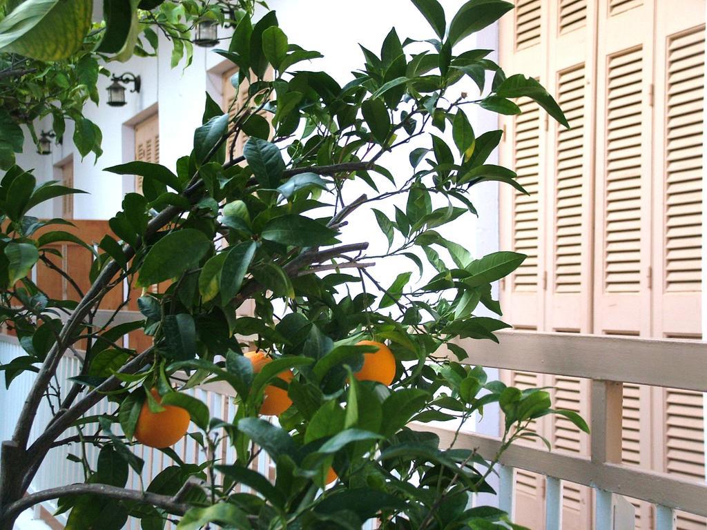 George'S Apartment Agia Marina  Bilik gambar