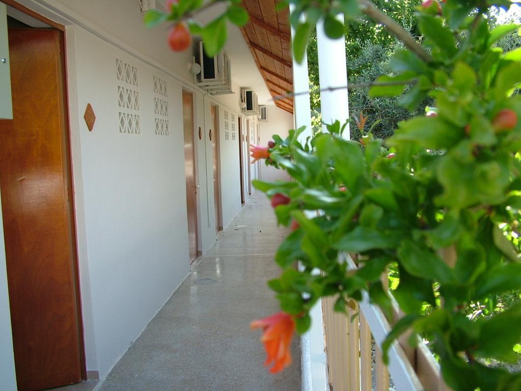 George'S Apartment Agia Marina  Bilik gambar