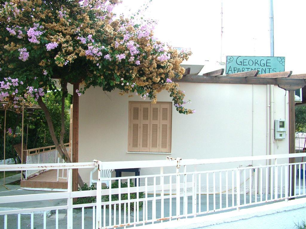 George'S Apartment Agia Marina  Bilik gambar
